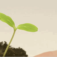 H_bild_uns_2 Kopie.jpg